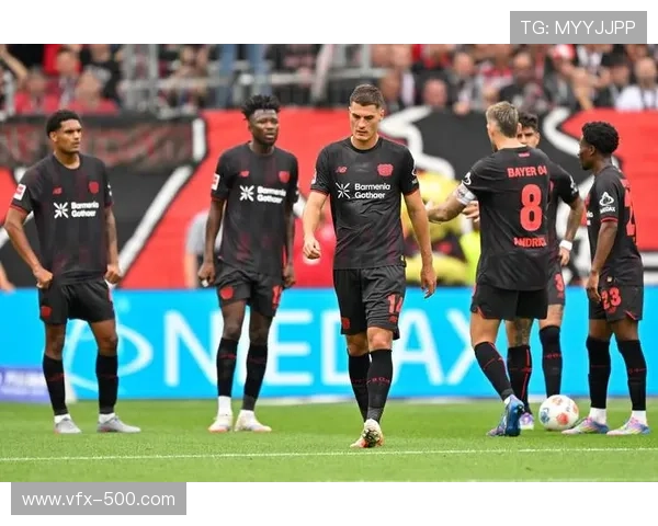 德甲赛季黑马：霍芬海姆不败背后的数据支撑